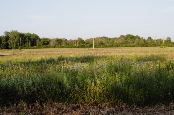 The Download: AI’s energy future