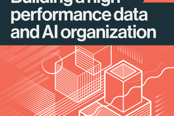 Building a high performance data and AI organization (2nd edition)