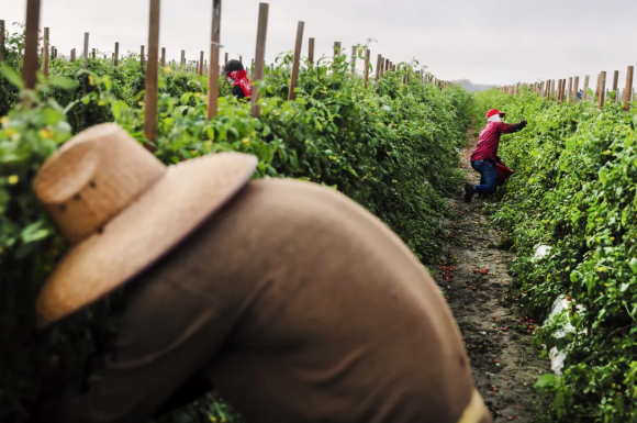  Introducing: the body issue