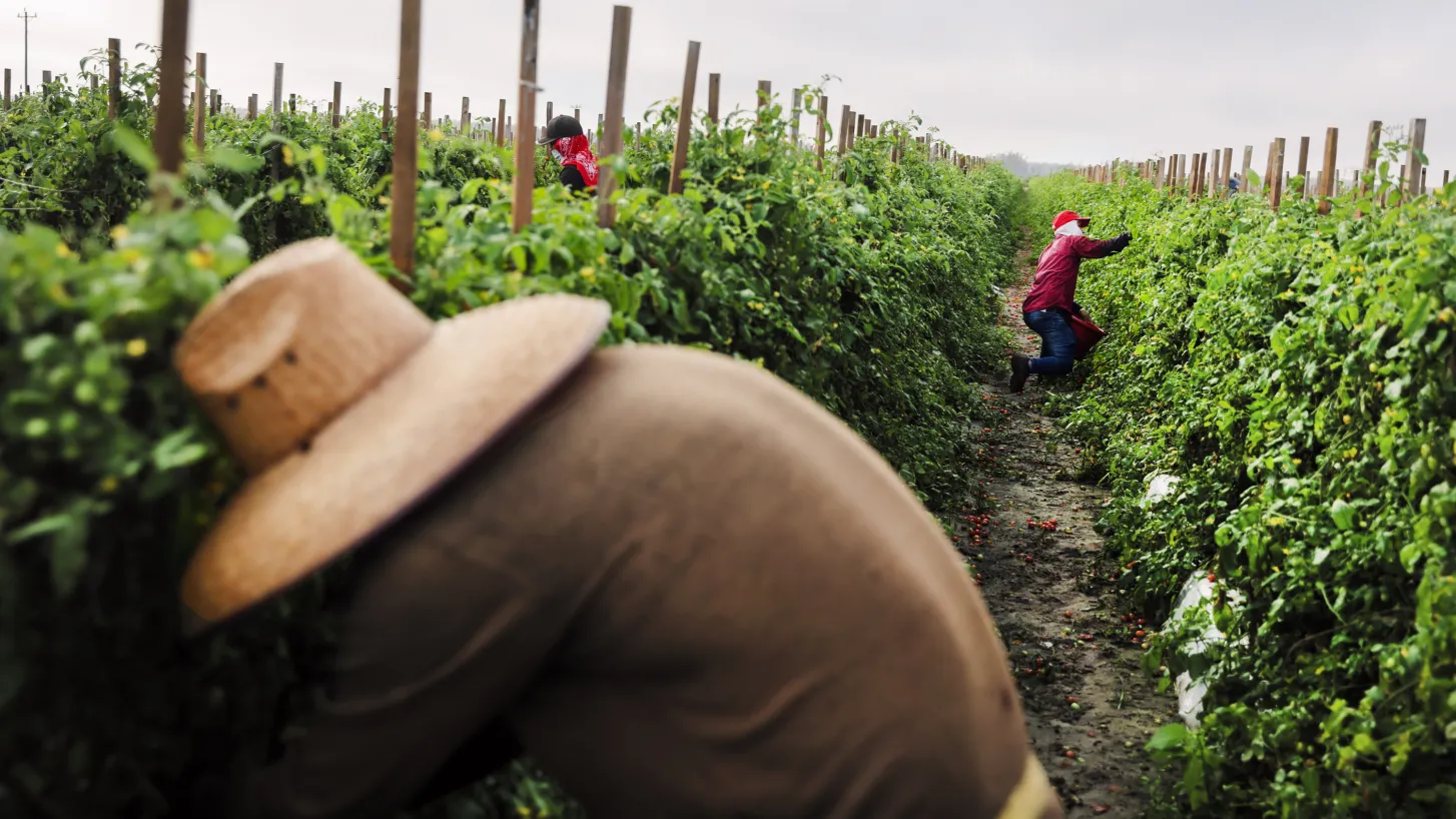  Introducing: the body issue