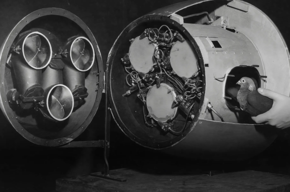 The Download: Big Tech’s carbon removals plans, and the next wave of nuclear reactors