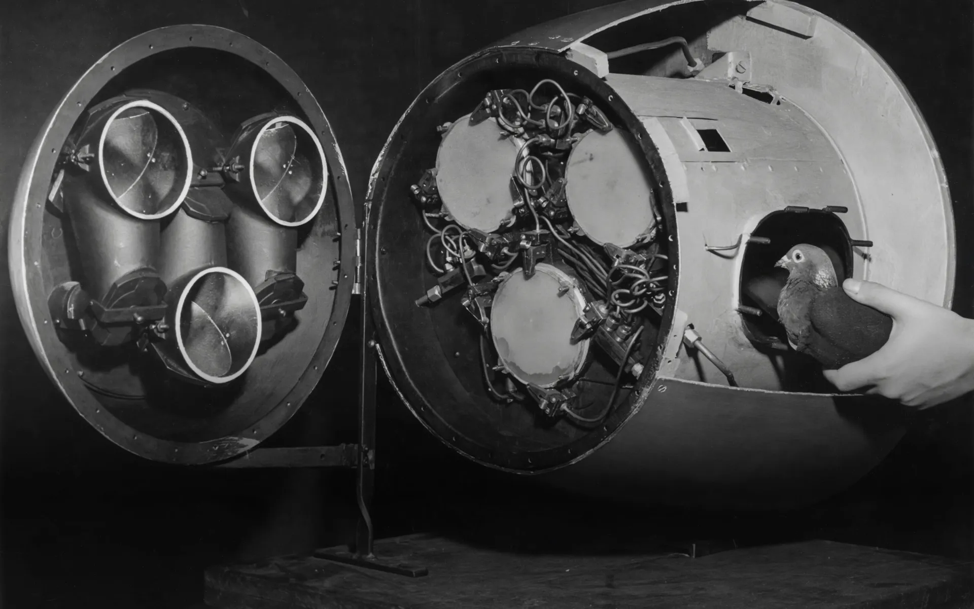 The Download: Big Tech’s carbon removals plans, and the next wave of nuclear reactors