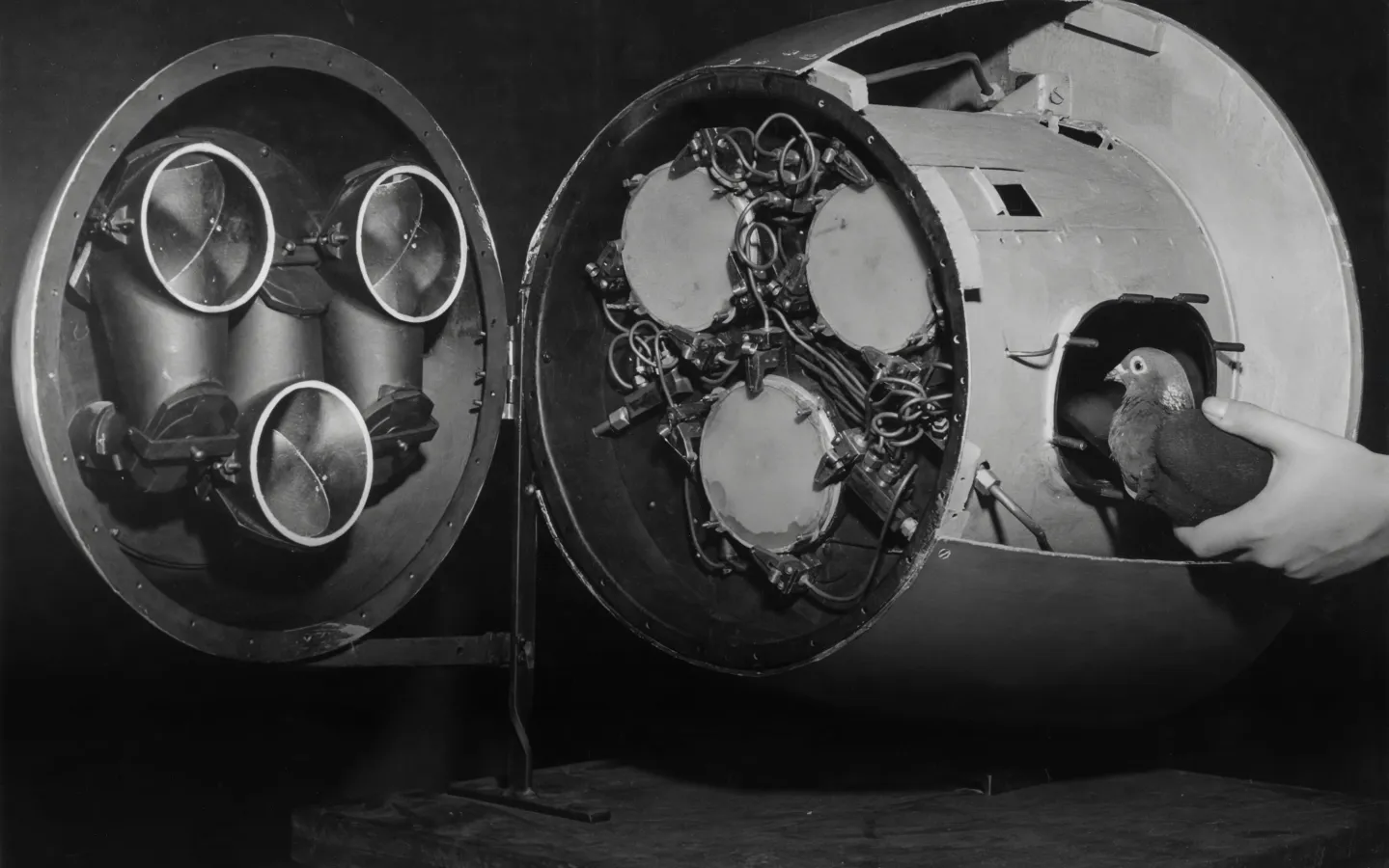 The Download: the fossil fuel elephant in the room, and better tests for endometriosis