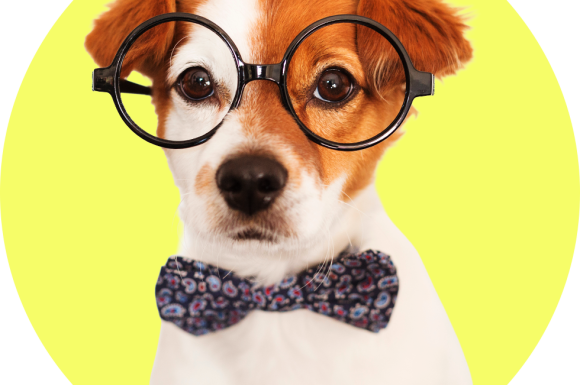 AI Wrapped: The 14 AI terms you couldn’t avoid in 2025