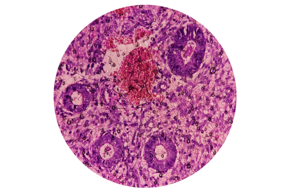 The Download: how America lost its lead in the hunt for alien life, and ambitious battery claims