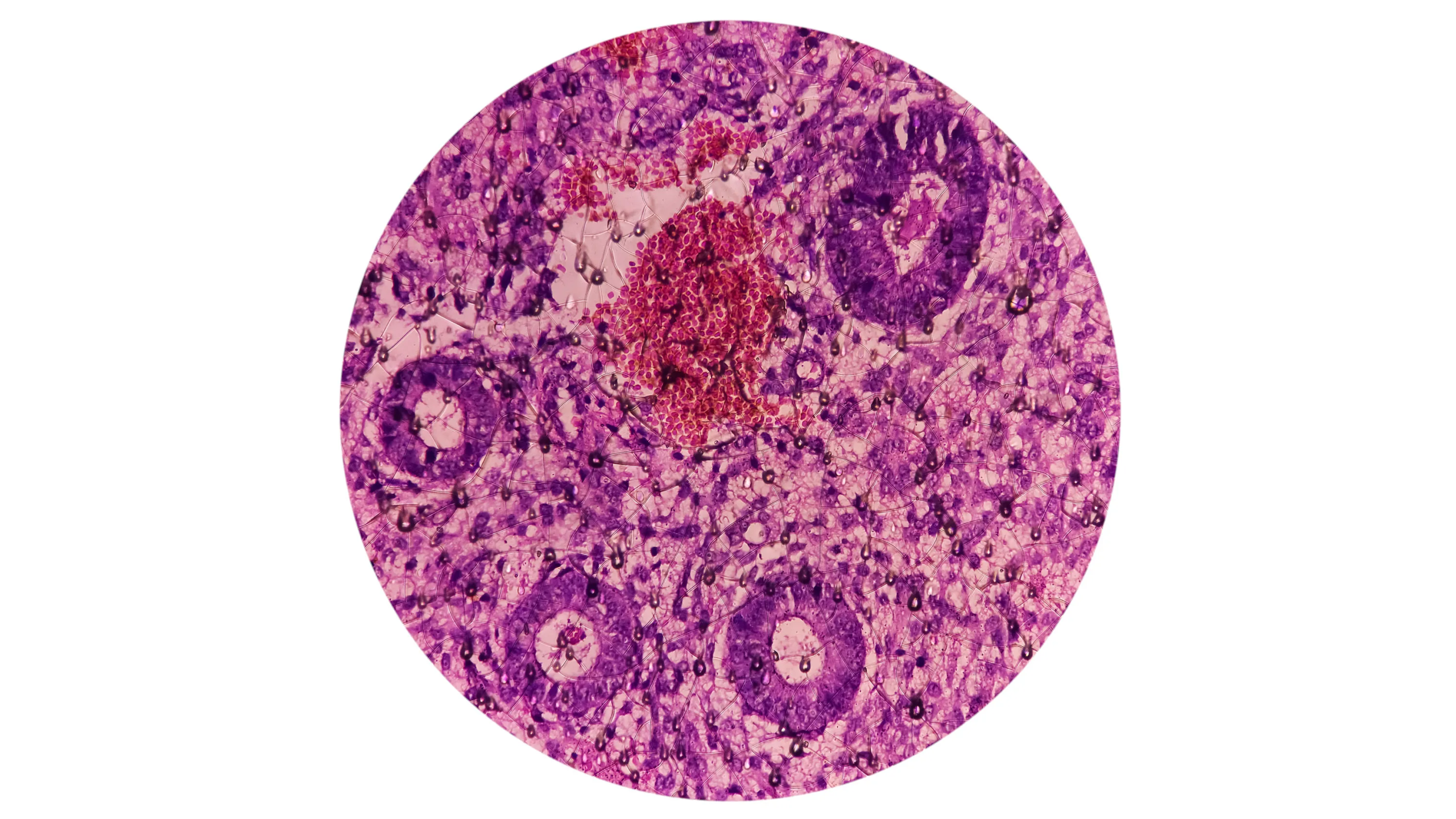 The Download: how America lost its lead in the hunt for alien life, and ambitious battery claims