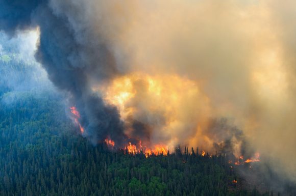 This startup claims it can stop lightning and prevent catastrophic wildfires